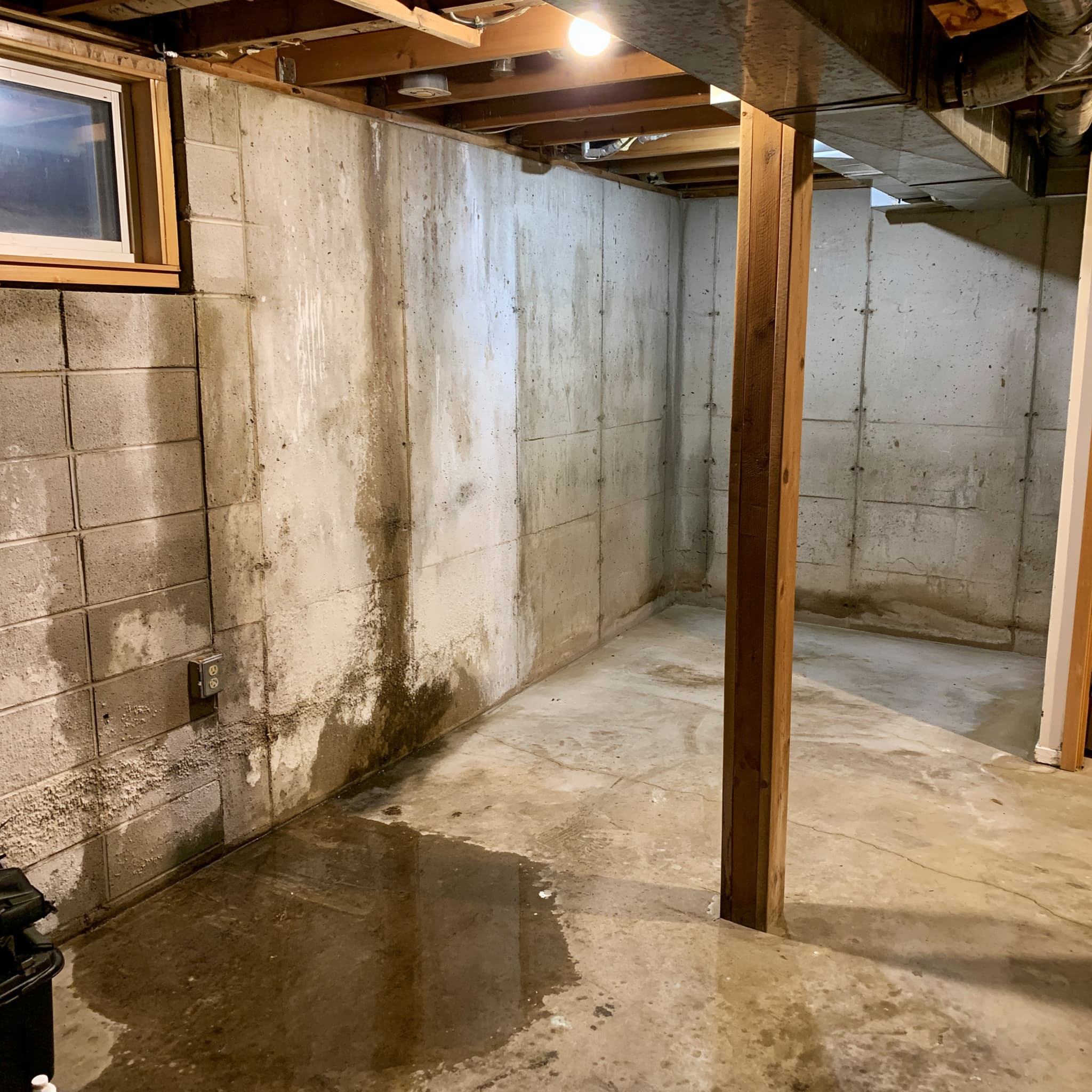 basement_moisture