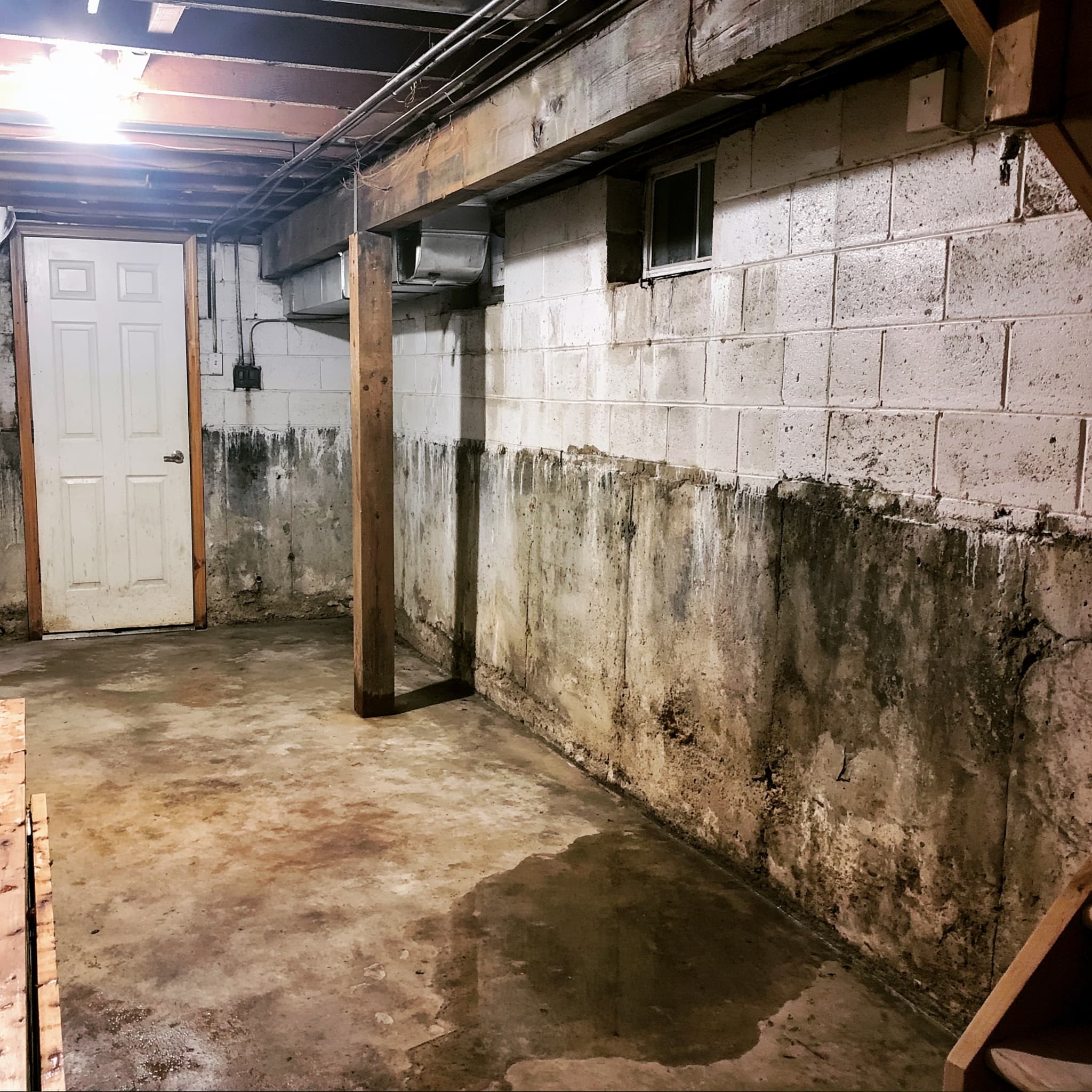 moisture_issues_wall_seepage_mild